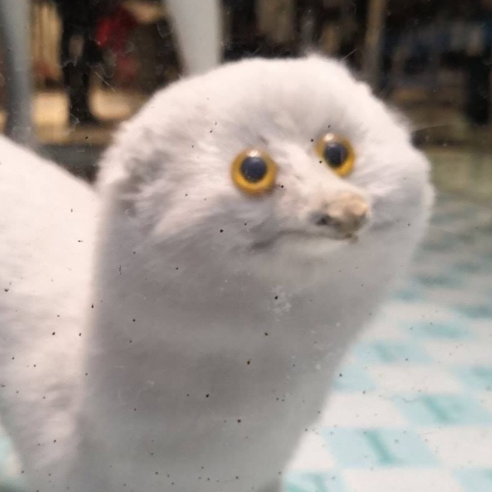 Meet your Posher, Daniel